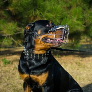 Намордник из металла для ротвейлера «Breath»